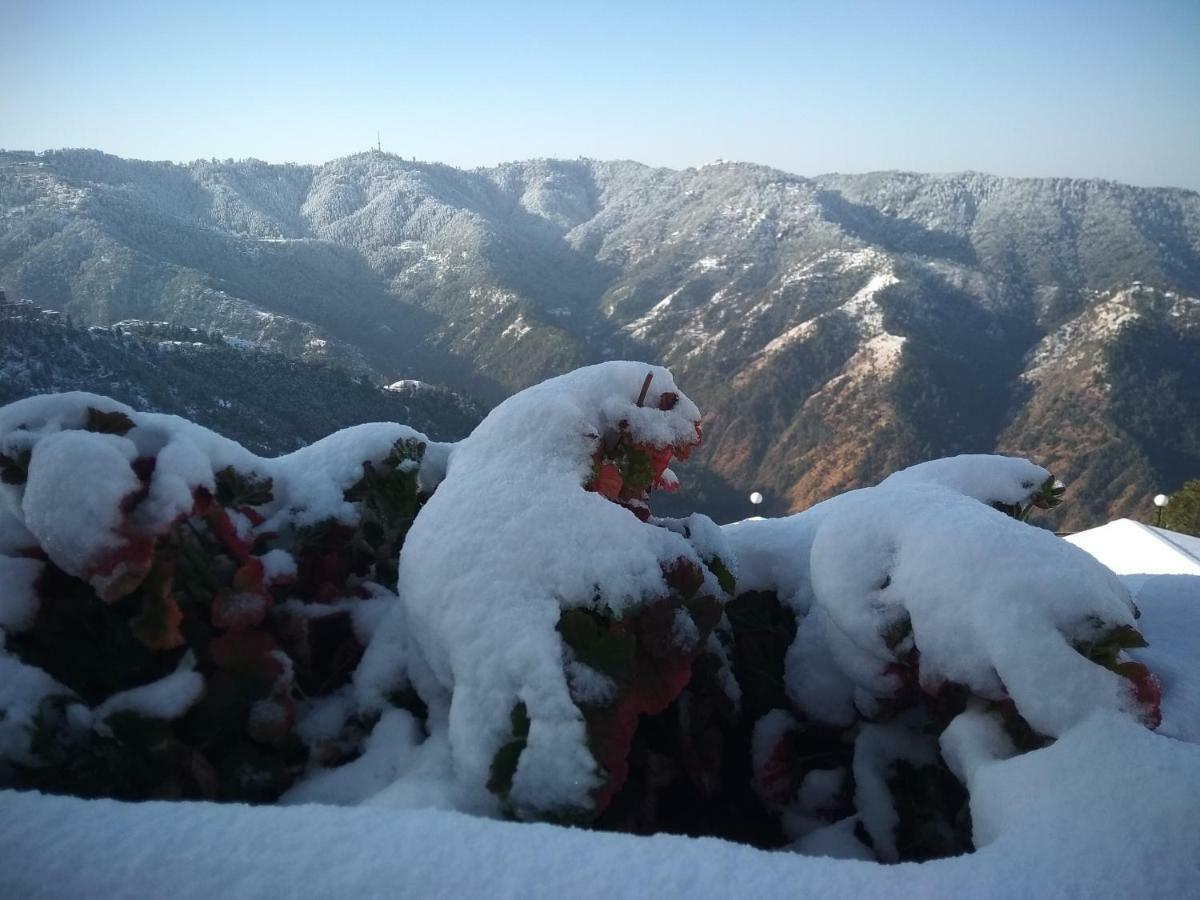 Spangle Heights Shimla, Suites And Residences Εξωτερικό φωτογραφία